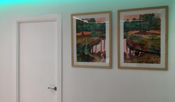 31-clinica-31